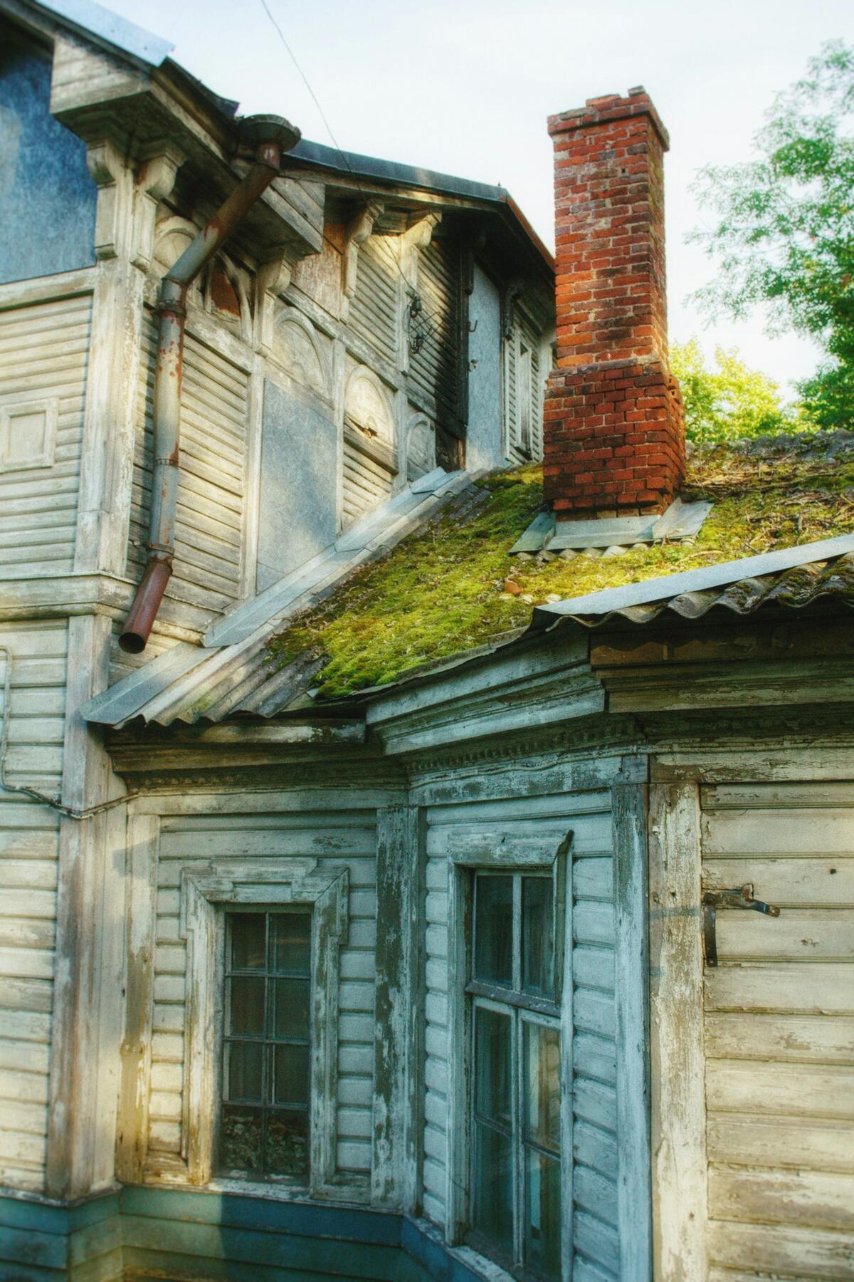 Moss growing on an older roof